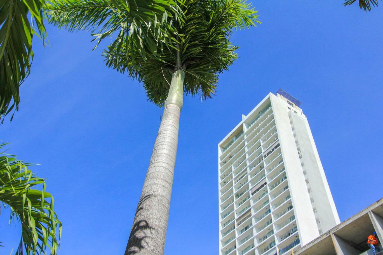 2201 Playa El Palmar Apartman Las Palmeras Kültér fotó
